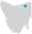 shaw contracting - project name and location